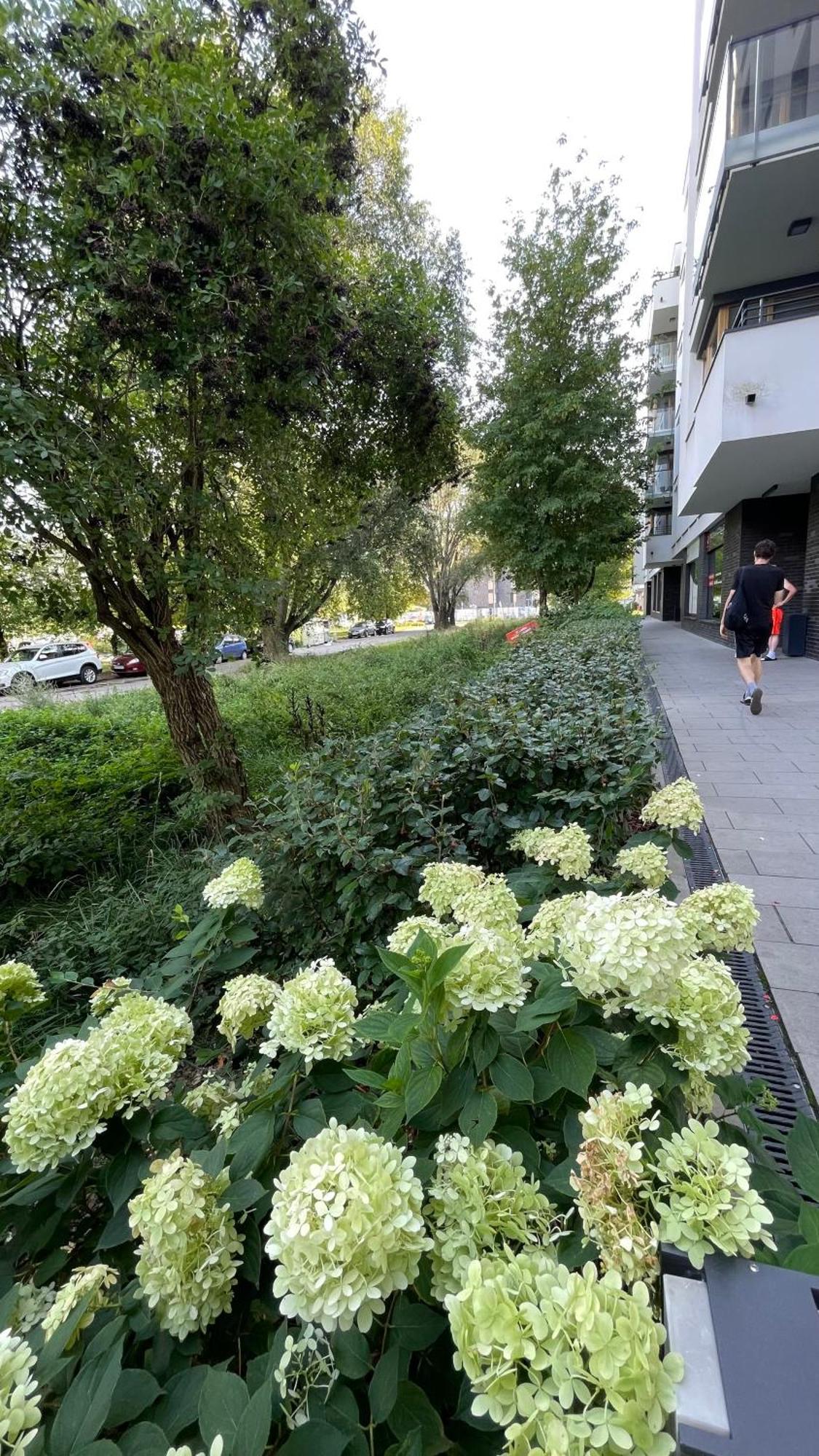 Apartamenty Warszawa Centrum Wlodarzewska 30 Exterior foto
